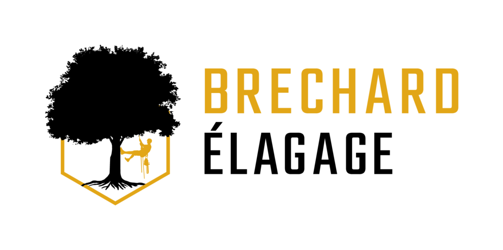 Logo Brechard Elagage